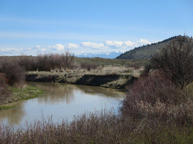 A conservation partnership between CRP and ranchers protects seven miles of Little Bitterroot River in Montana. Riparian buffers line the river and help filter nutrients from runoff, trap sediment, cool water temperatures, stabilize stream banks, and sequester carbon. Photo credit: USDA.