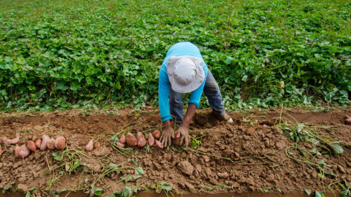 A Record $35 Million Now Available to Support Historically Underserved and Veteran Farmers