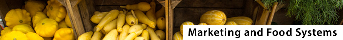our work - marketing and food test